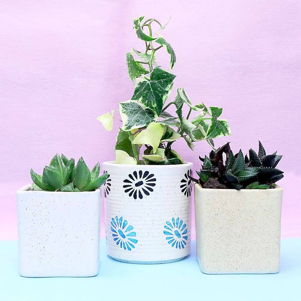  Fortunate Plant Blessings